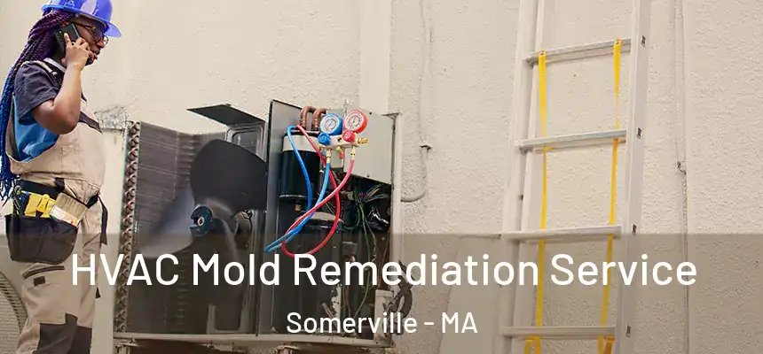  HVAC Mold Remediation Service Somerville - MA
