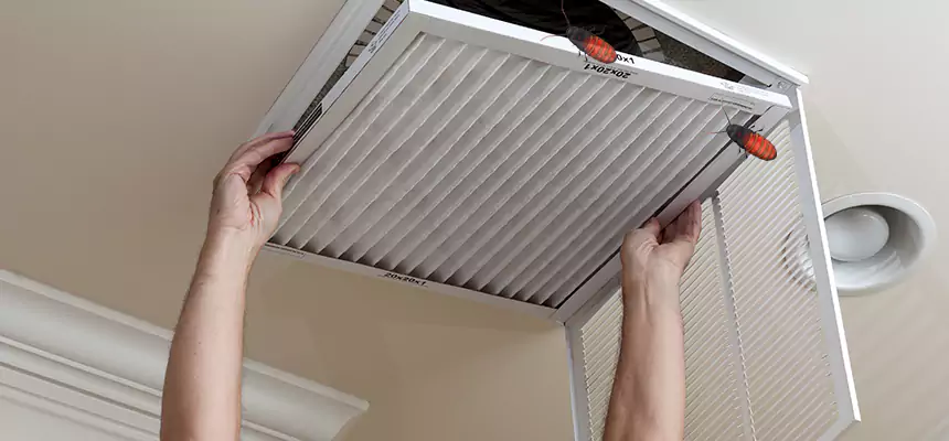 Our Insect Removal from Air Ducts Services in Somerville, MA