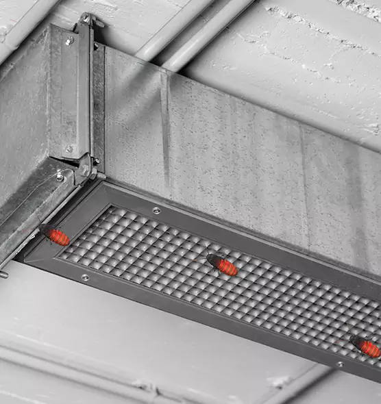 Affordable Insect Removal from Air Ducts in Somerville, MA